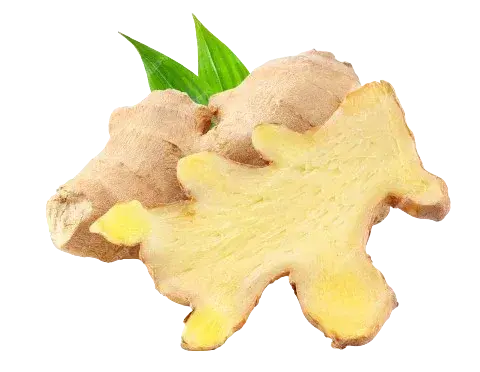 Ginger